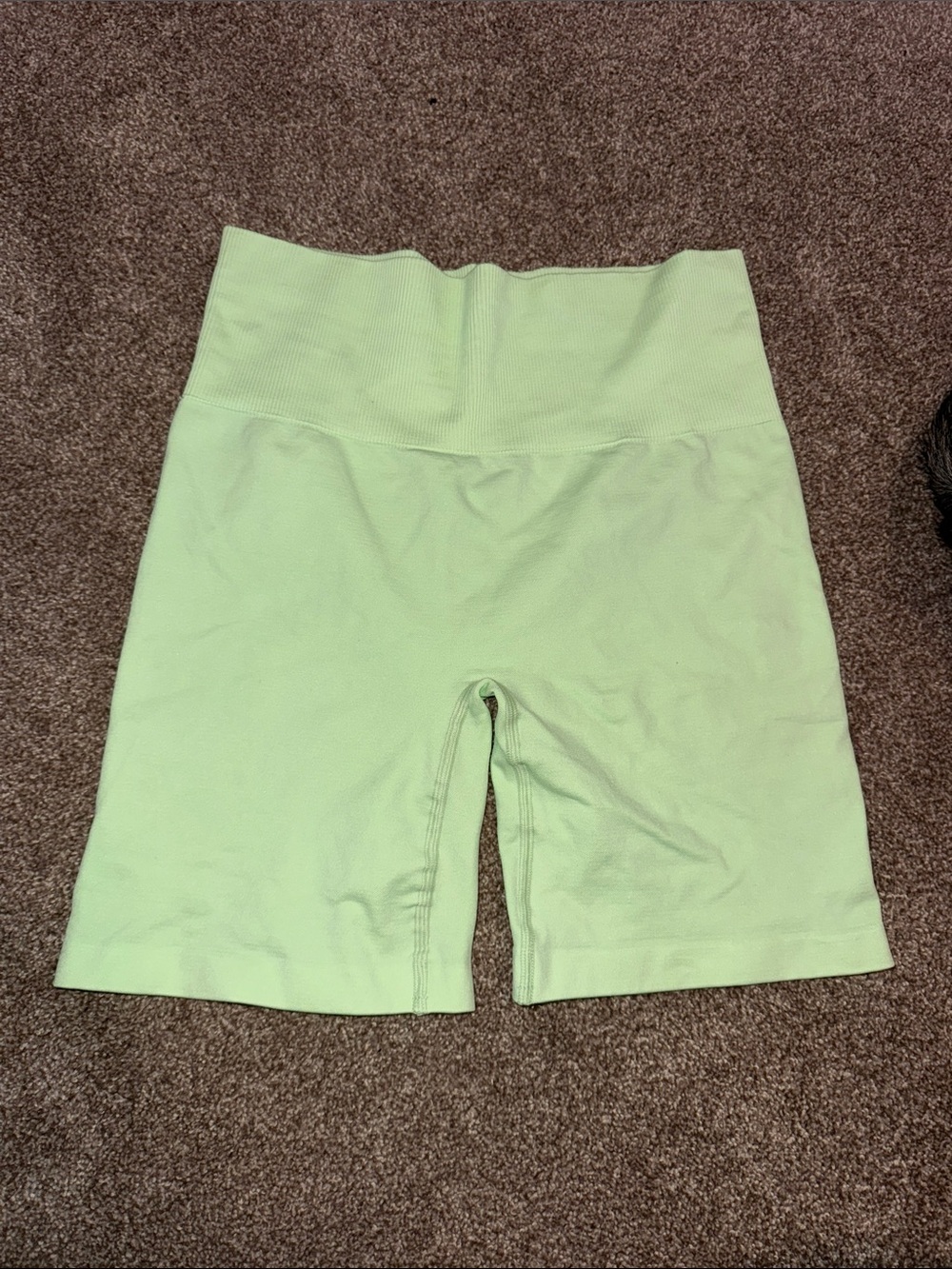 Aritzia High-Waist Bike Shorts in Pale Mint Green